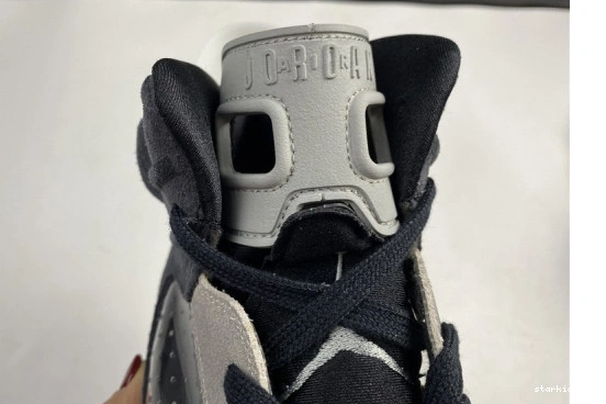 WMNS Chrome “Tech Air Jordan-6 6 Jordan 1205